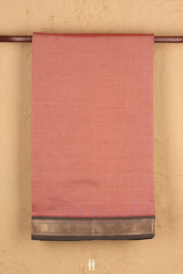 Semi Silk Cotton Saree In Dusty Rose With Paisley Border