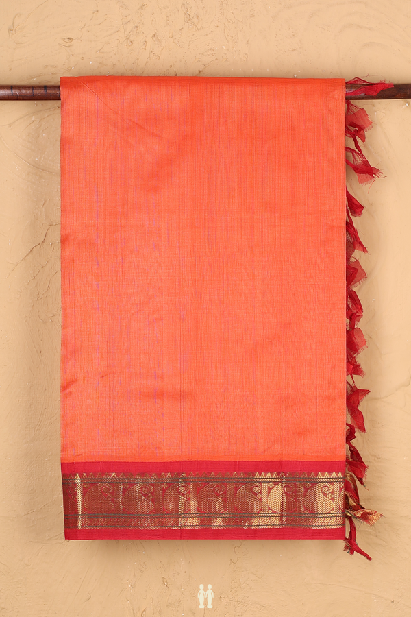 Silk Cotton Saree In Coral Orange With Paisley Border