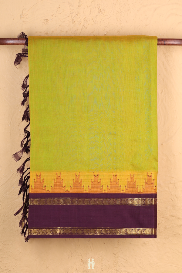 Silk Cotton Saree In Dual Tone With Contrast Border