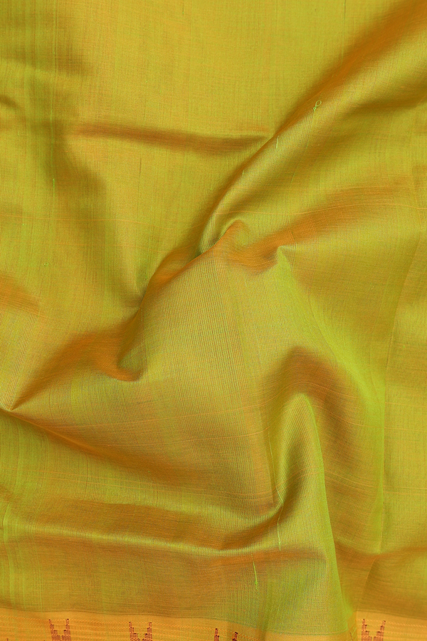 Silk Cotton Saree In Dual Tone With Contrast Border