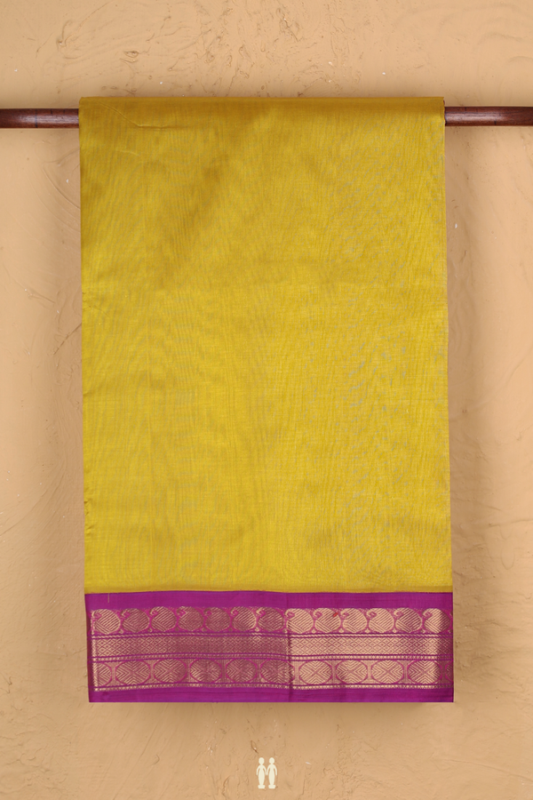 Silk Cotton Saree In Golden Yellow With Paisley Border