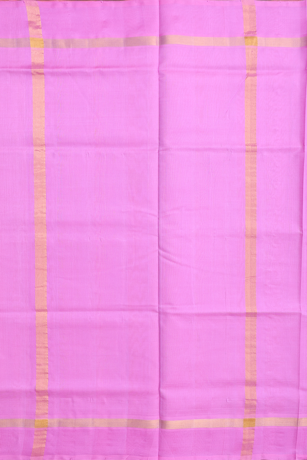 Silk Cotton Saree In Honey Yellow With Contrast Border