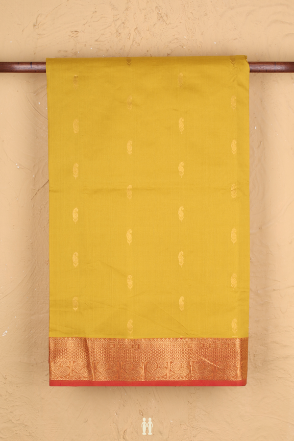 Silk Cotton Saree In Mustard Yellow With Paisley Buttas
