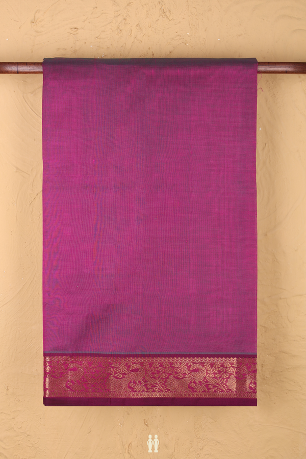 Silk Cotton Saree In Dual Tone With Peacock Border