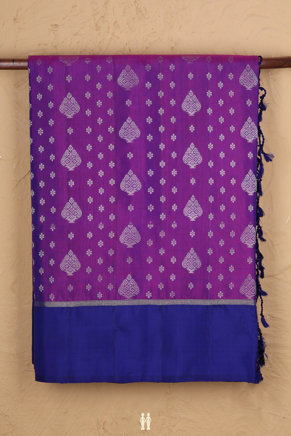 Soft Silk Saree In Dual Tone With Allover Buttas