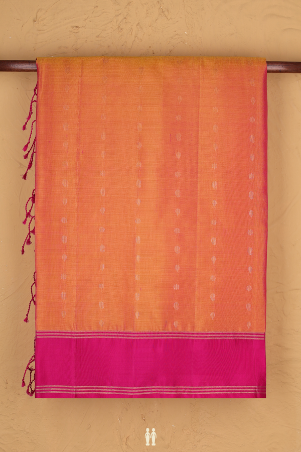 Soft Silk Saree In Dual Tone With Paisley Buttis