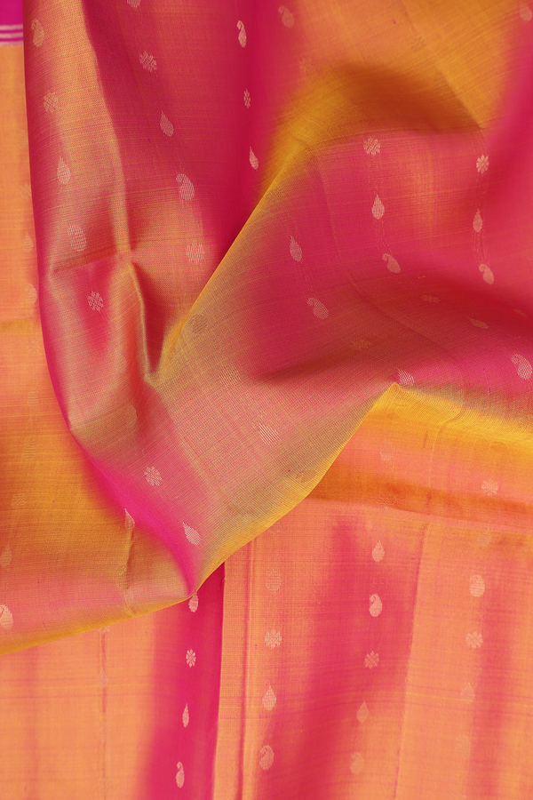 Soft Silk Saree In Dual Tone With Paisley Buttis