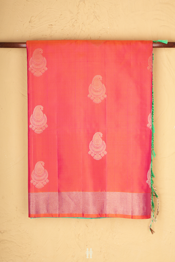 Soft Silk Saree In Dual Tone With Paisley Motifs