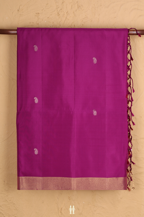 Soft Silk Saree In Grape Purple With Paisley Buttas