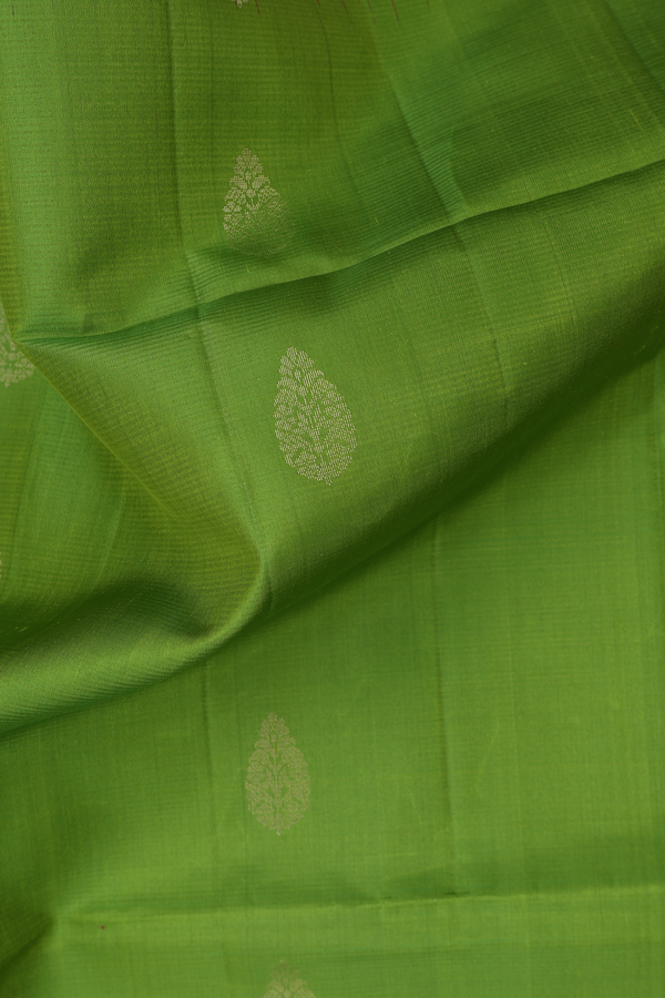 Soft Silk Saree In Parrot Green With Zari Buttas