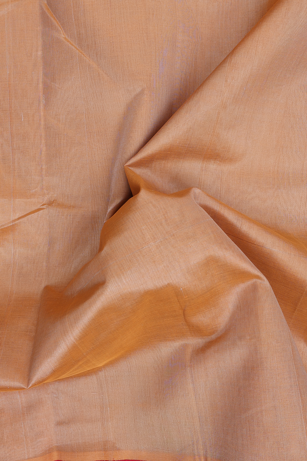 Traditional Silk Cotton Saree In Brown With Contrast Border