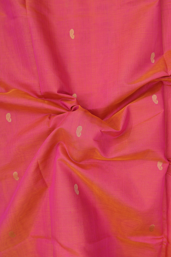 Traditional Silk Cotton Saree In Dual Tone With Paisley Buttas