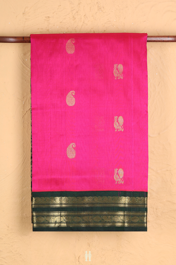 Traditional Silk Cotton Saree In Magenta With Paisley Buttas