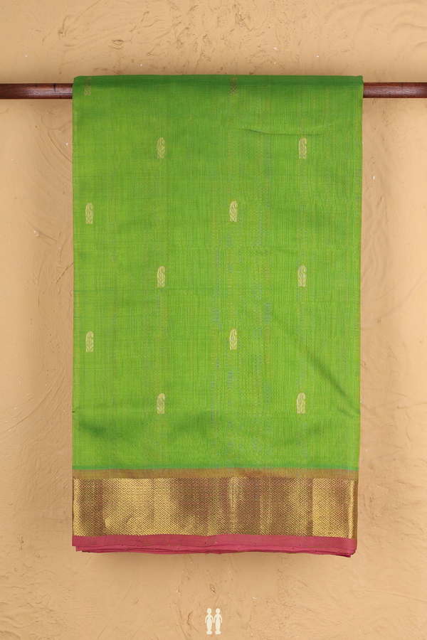 Traditional Silk Cotton Saree Pear Green With Paisley Buttas