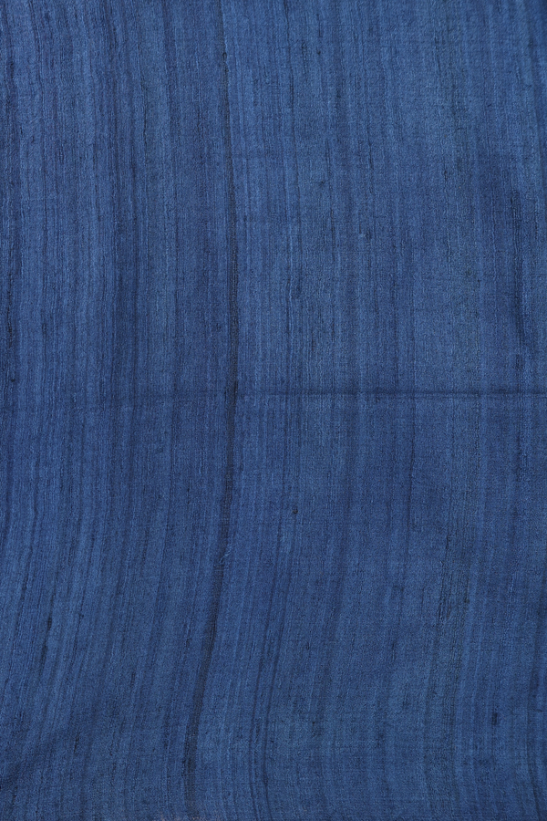 Tussar Madhubani Silk Saree In Beige Printed Buttas