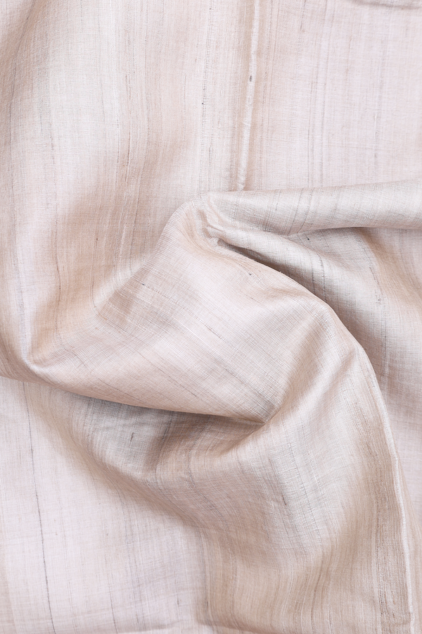 Tussar Silk Saree In Beige With Contrast Border