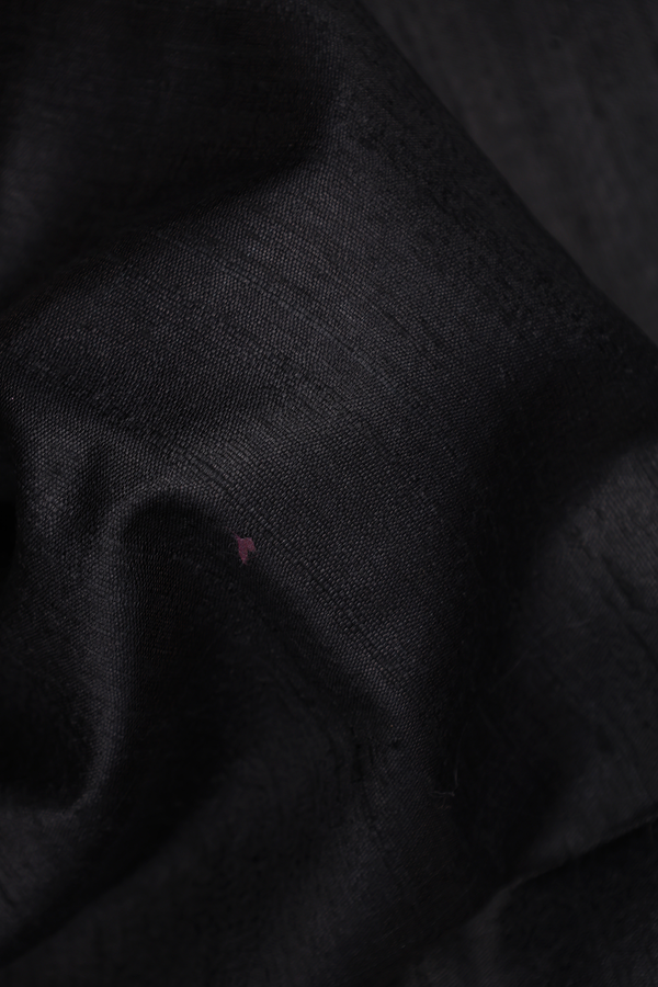 Tussar Silk Saree In Black With Madhubani Pallu