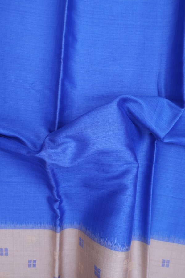 Tussar Silk Saree In Blue With Contrast Border