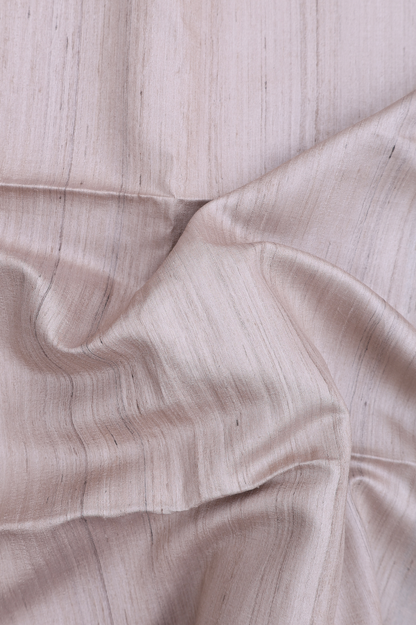 Tussar Silk Saree In Beige With Zari Border