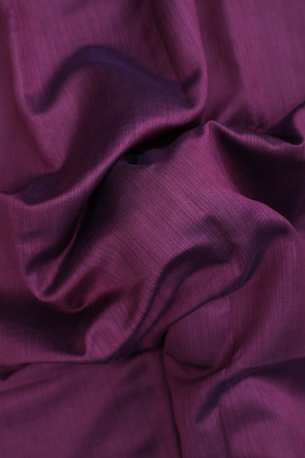 Tussar Silk Saree In Plum Purple With Triangle Border