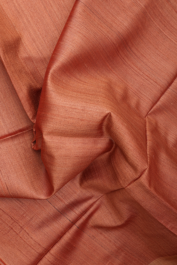 Tussar Silk Saree In Rust Brown With Zari Border