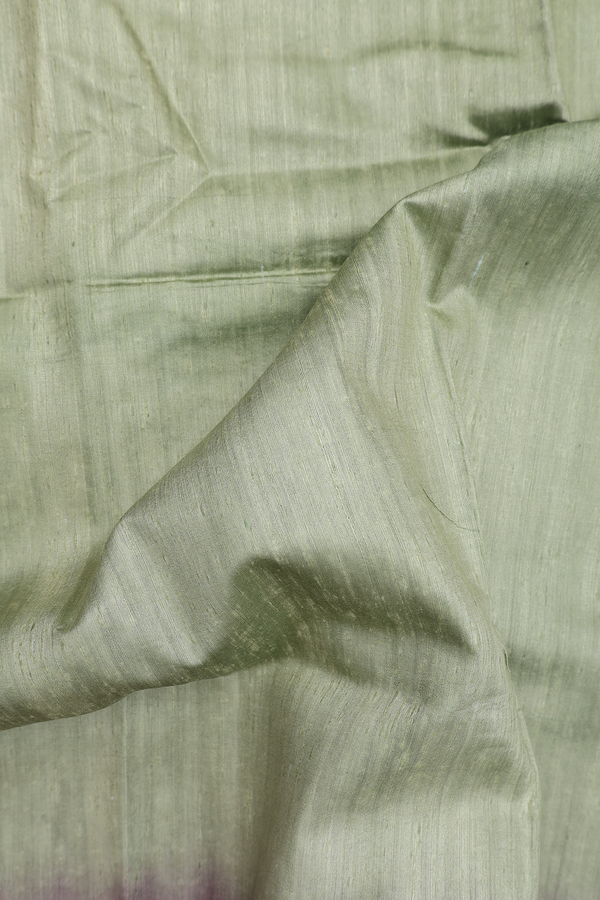 Tussar Silk Saree In Sage Green With Contrast Border