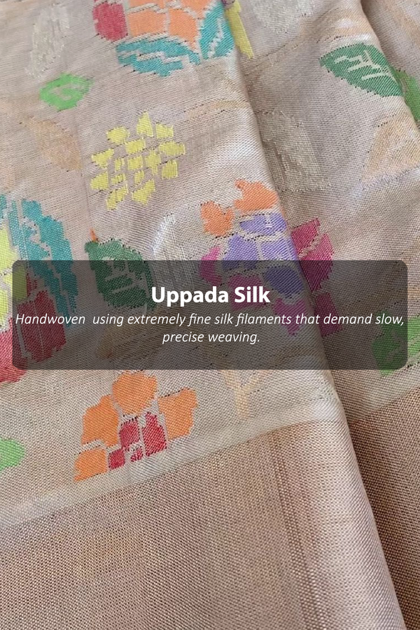 Uppada Silk Saree In Coffee Cream With Zari Buttas