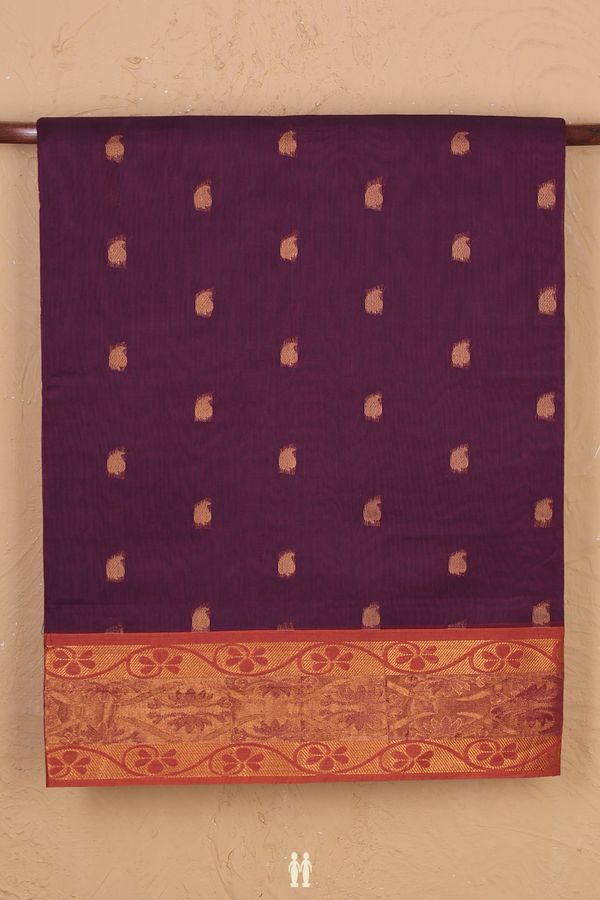 Venkatagiri Cotton Saree In Purple With Paisley Buttas