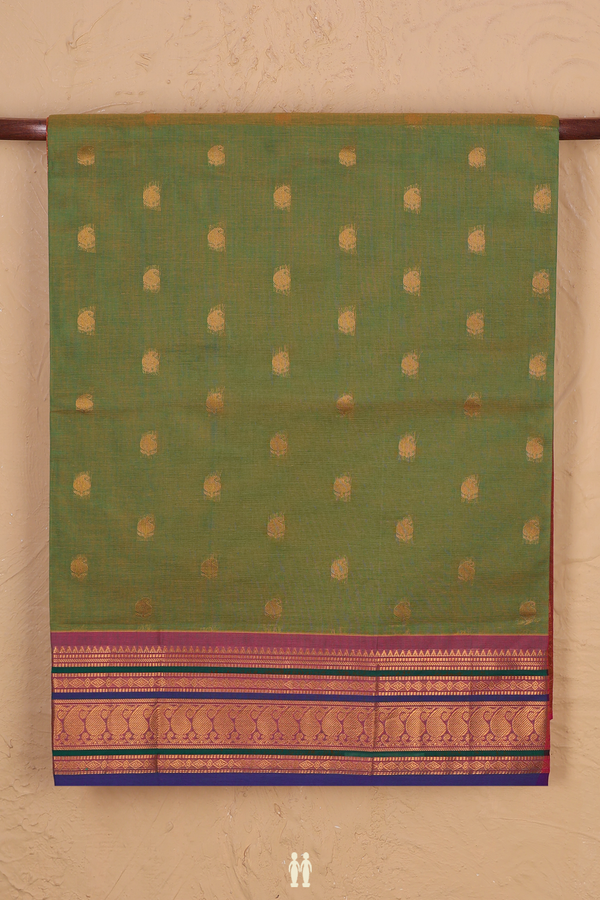 Venkatagiri Cotton Saree In Parrot Green With Paisley Buttas