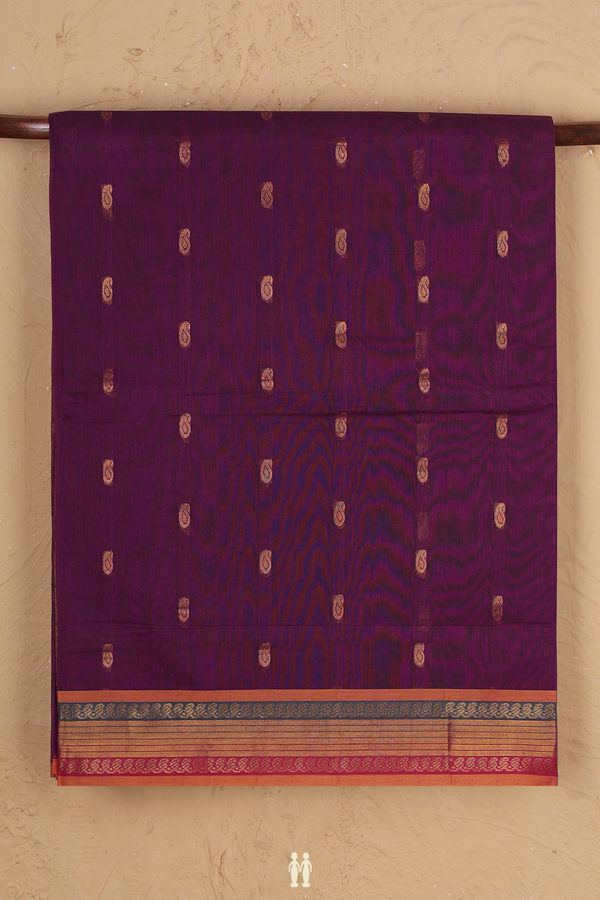 Venkatagiri Cotton Saree In Purple With Paisley Buttas