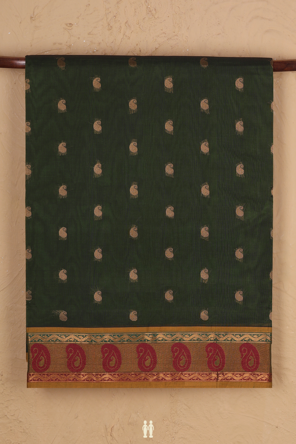 Venkatagiri Cotton Saree In Olive Green With Paisley Buttas