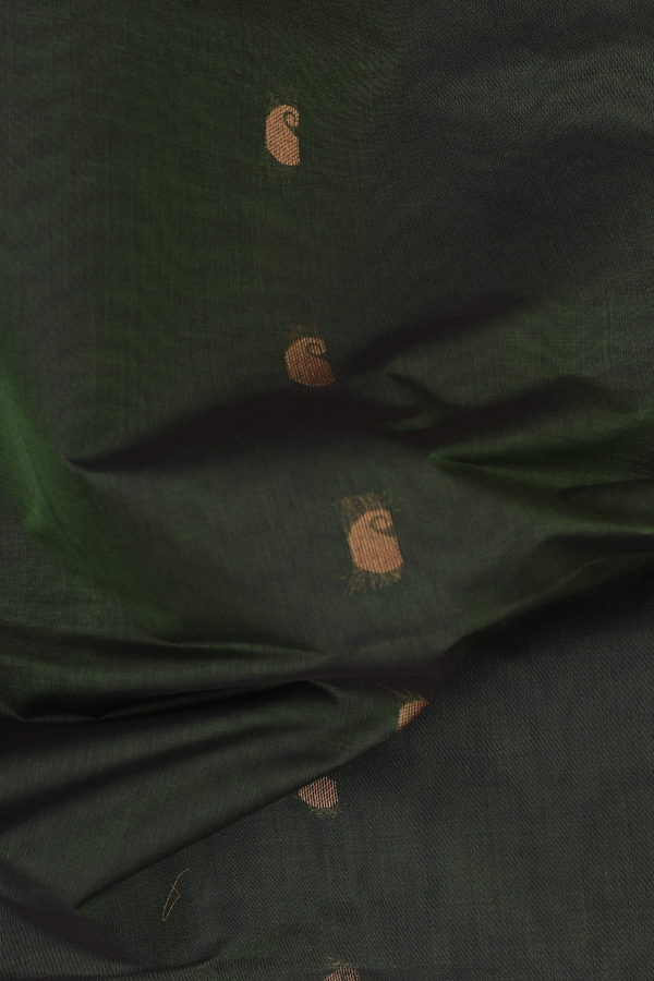 Venkatagiri Cotton Saree In Olive Green With Paisley Buttas