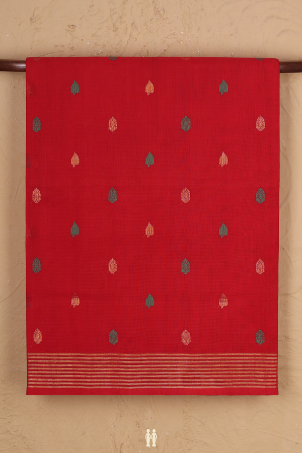 Venkatagiri Cotton Saree In Scarlet Red With Allover Buttas