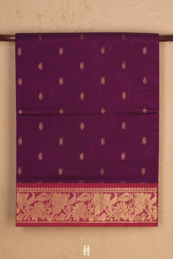Venkatagiri Cotton Saree In Purple With Zari Buttas