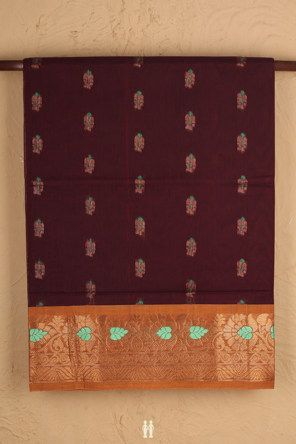 Venkatagiri Cotton Saree In Coffee Brown With Zari Buttas