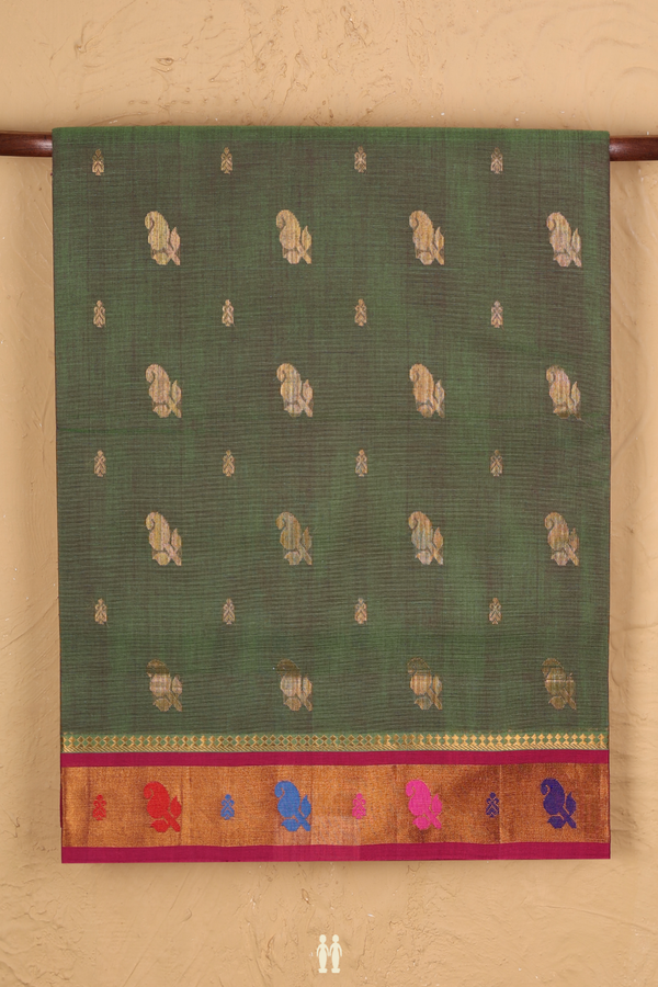 Venkatagiri Cotton Saree In Dual Tone With Paisley Buttas