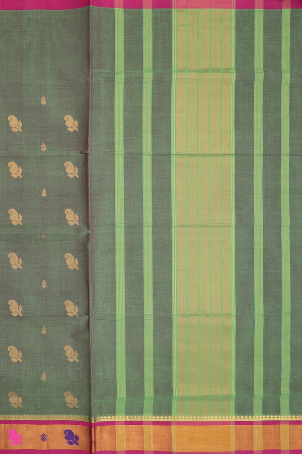 Venkatagiri Cotton Saree In Dual Tone With Paisley Buttas