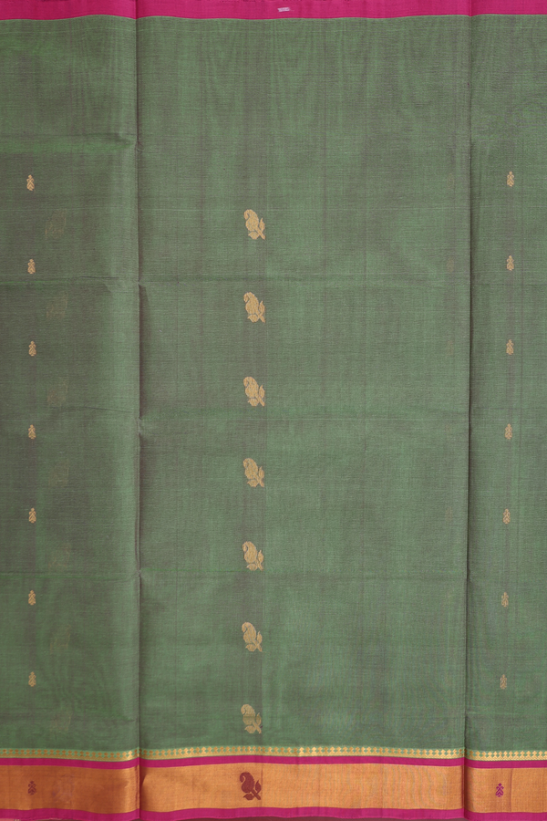 Venkatagiri Cotton Saree In Dual Tone With Paisley Buttas