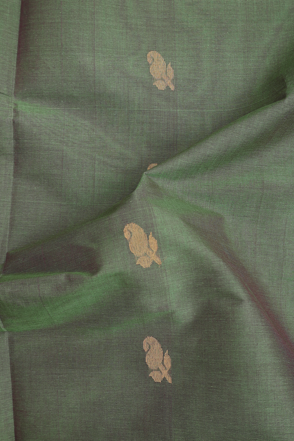 Venkatagiri Cotton Saree In Dual Tone With Paisley Buttas