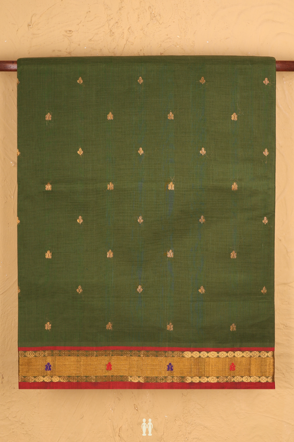 Venkatagiri Cotton Saree In Fern Green With Zari Buttas
