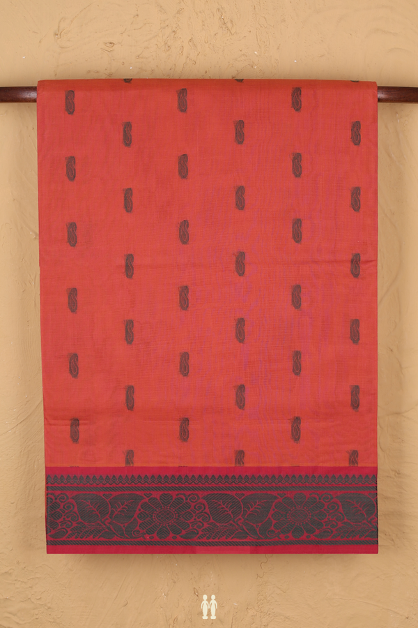 Venkatagiri Cotton Saree In Dusty Red With Paisley Buttas