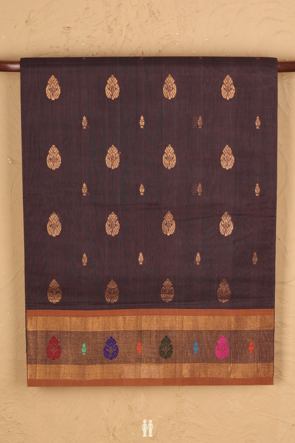Venkatagiri Cotton Saree In Oxford Brown With Zari Buttas