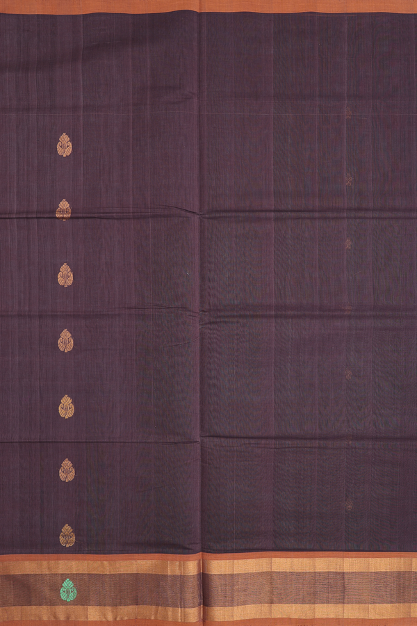 Venkatagiri Cotton Saree In Oxford Brown With Zari Buttas