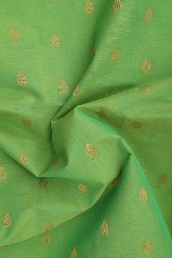 Venkatagiri Cotton Saree In Parrot Green With Thilagam Buttas