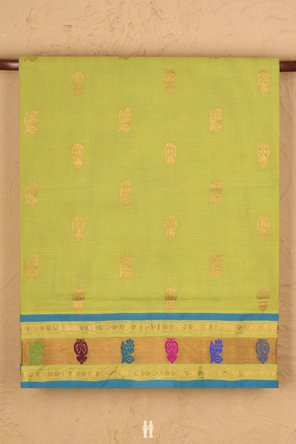 Venkatagiri Cotton Saree In Pear Green With Zari Buttas