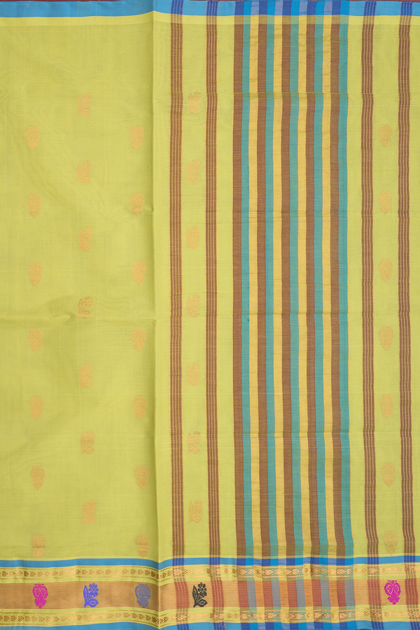 Venkatagiri Cotton Saree In Pear Green With Zari Buttas