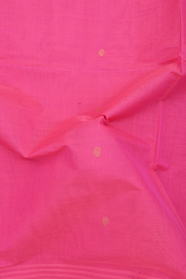 Venkatagiri Cotton Saree In Pink With Paisley Buttas
