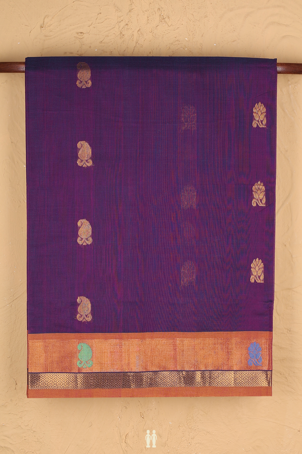Venkatagiri Cotton Saree In Purple With Paisley Buttas