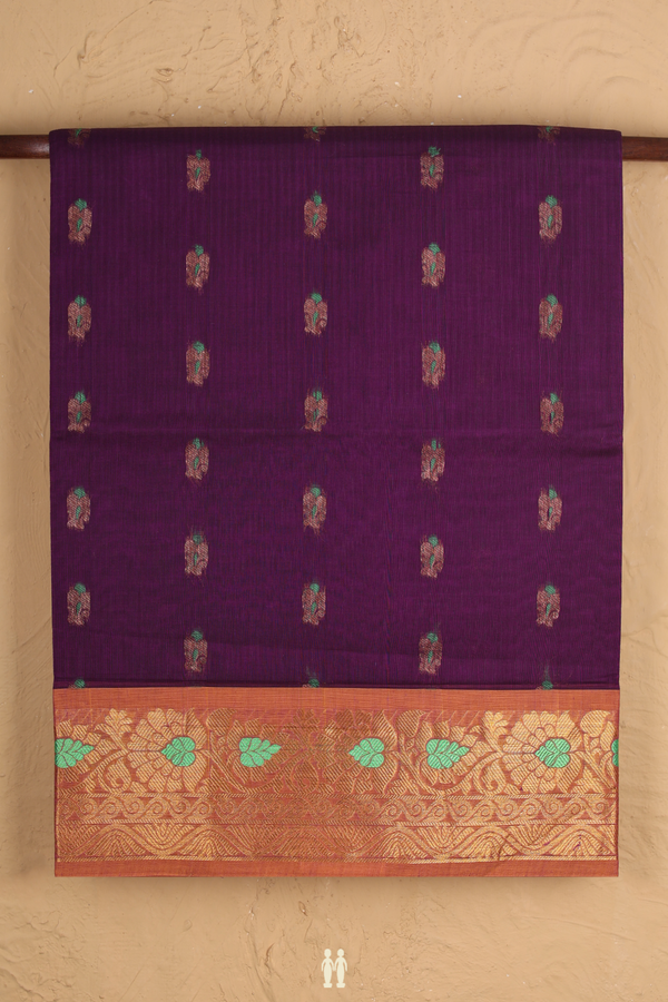 Venkatagiri Cotton Saree In Purple With Zari Buttas