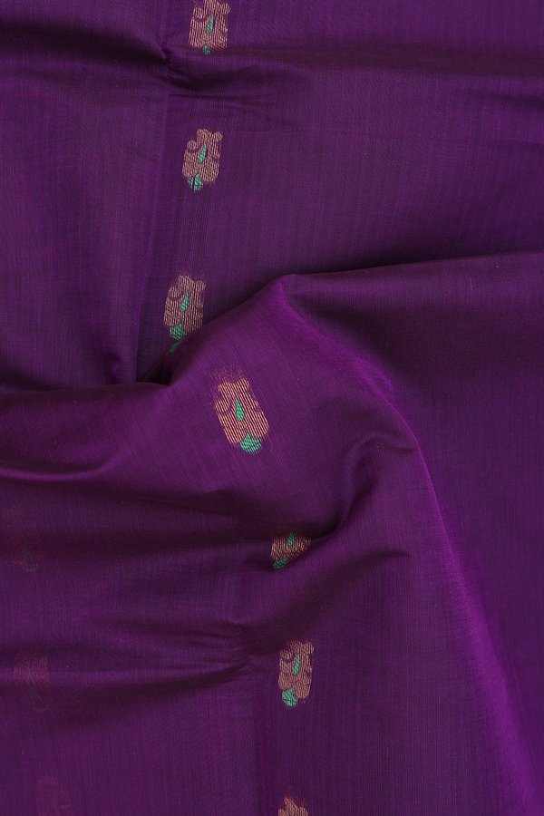Venkatagiri Cotton Saree In Purple With Zari Buttas